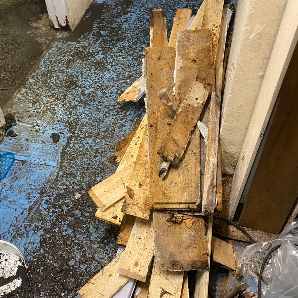 How Rew is surviving during Covid19 & Storm Damage